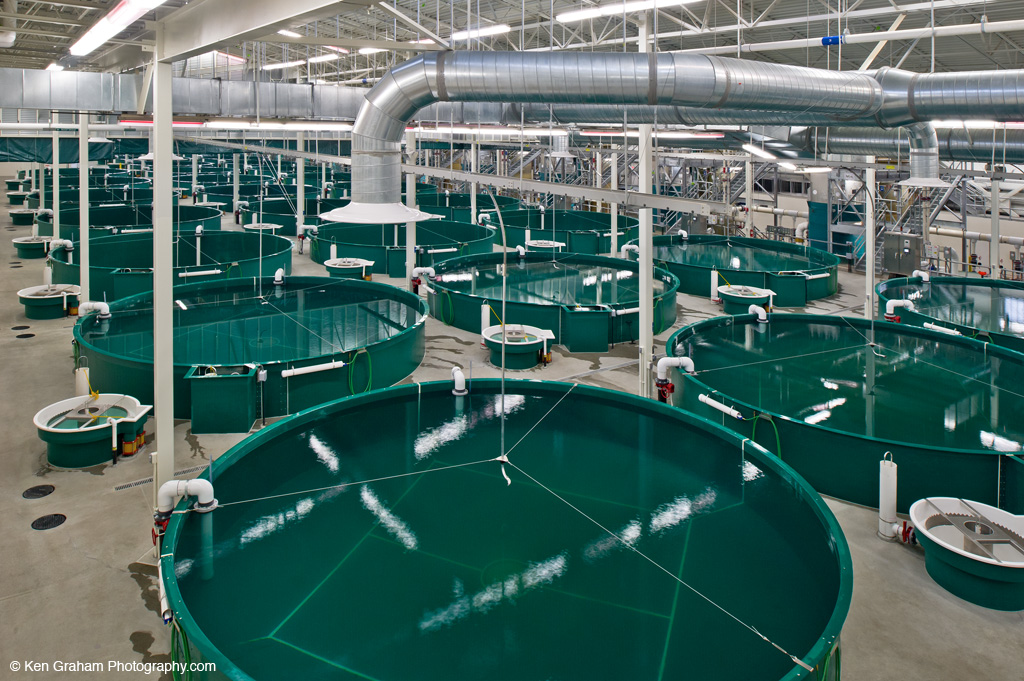 Anchorage Sport Fish Hatchery