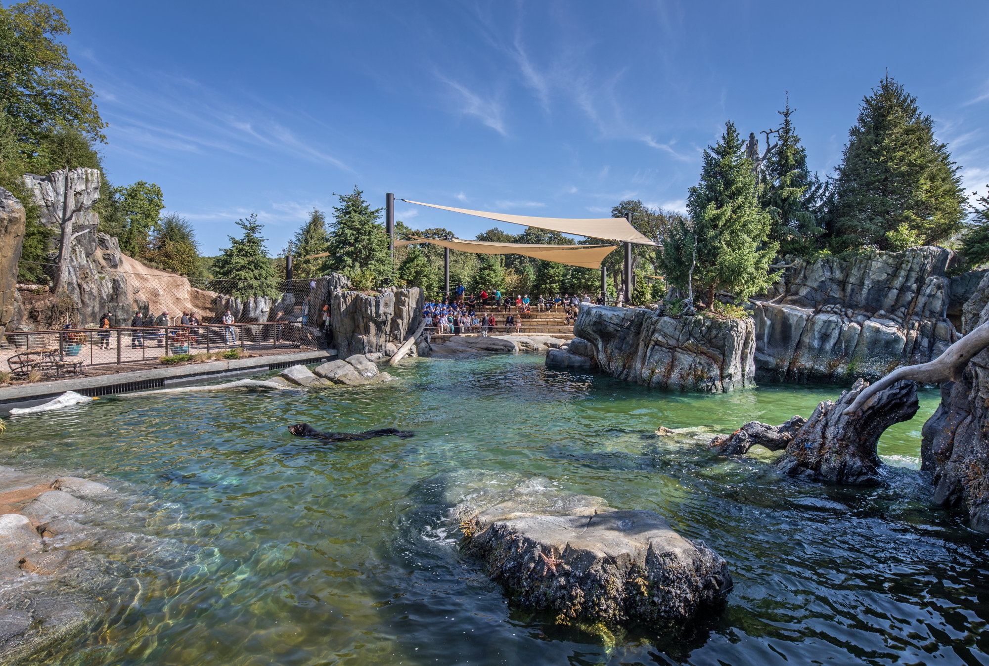 Omaha's Henry Doorly Zoo and Aquarium - Coastal Waters Sea Lions