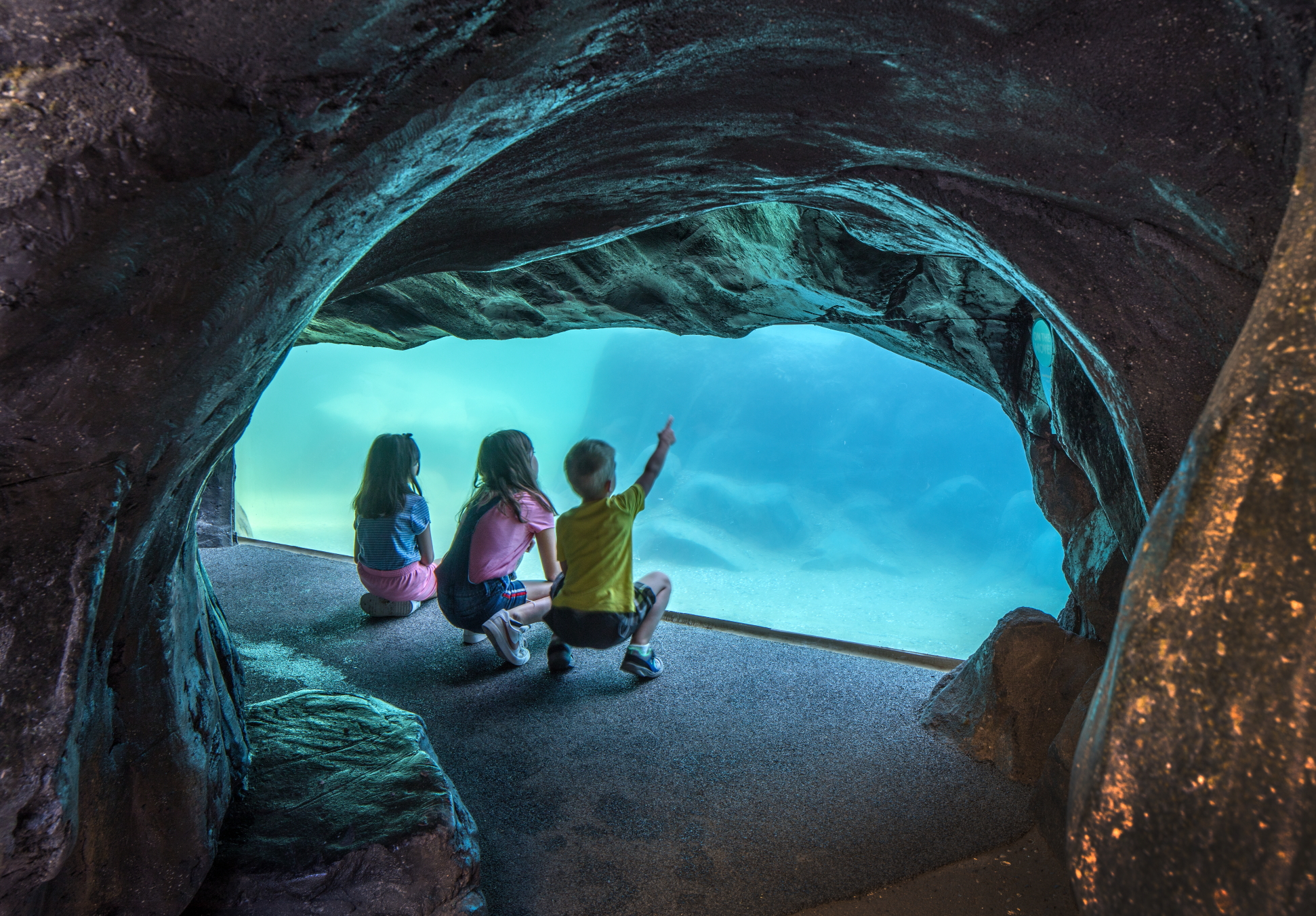 Omaha's Henry Doorly Zoo and Aquarium - Coastal Waters Sea Lions