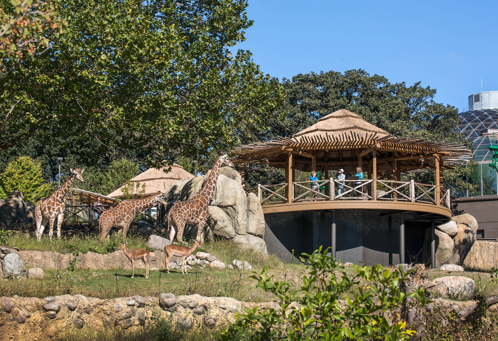 Omaha's Henry Doorly Zoo and Aquarium - African Grasslands