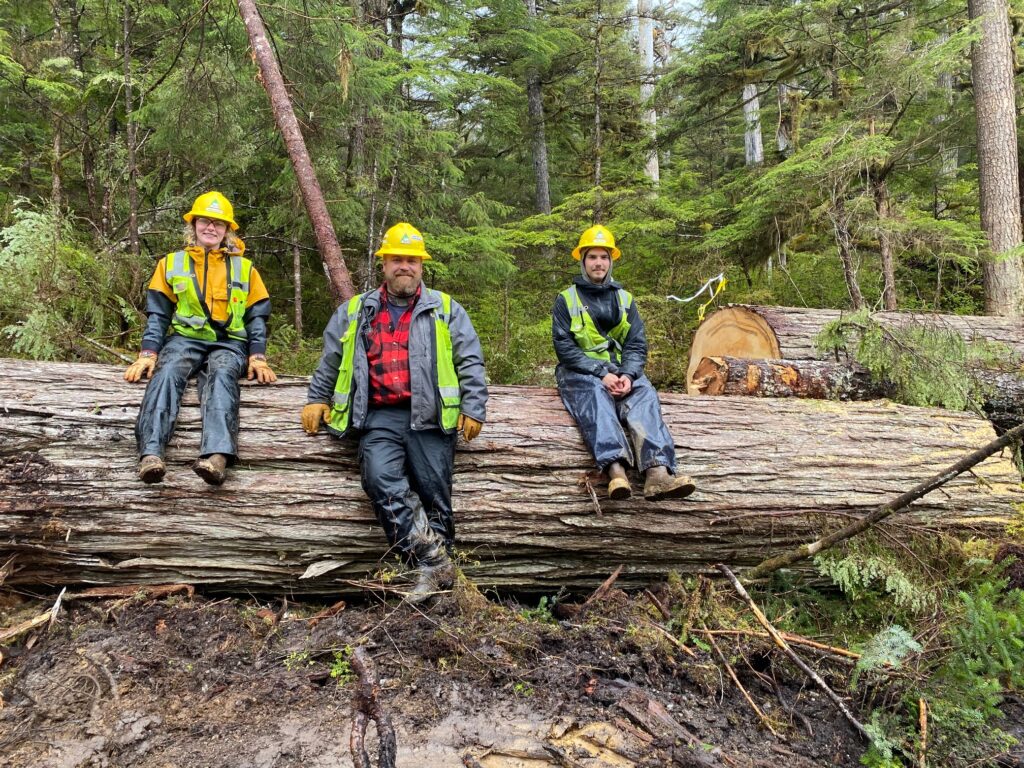 Amanda Lundgren (left), Joe Myers (middle) and Daniel Stacey (right) provide perspective to the size of the trees in the area. Some were 8 feet in diameter. 