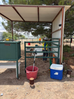 An intern works in a red horse stall for a volunteer project in a safety vest and hard hat.
